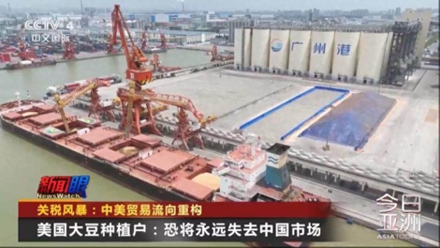 大V：美国大豆或永远失去中国市场 巴西欲补位供应缺口