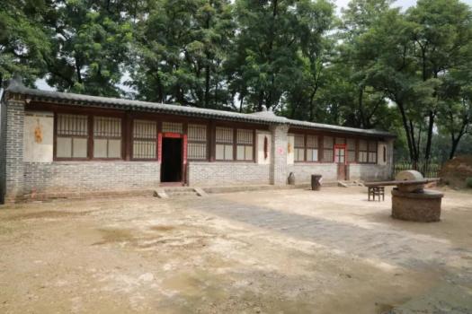 “萌”禽落难居民仗义施救 普通鵟获救记