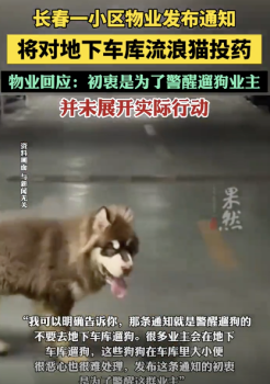物业以投毒流浪猫为名制止地库遛狗！