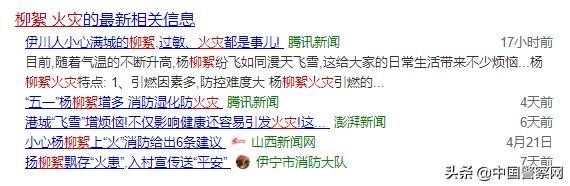男子隨手點(diǎn)燃楊絮 火勢(shì)3秒失控 火災(zāi)隱患大