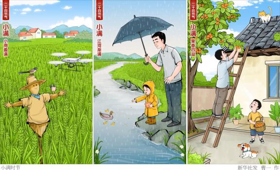 二十四節(jié)氣·小滿 炎熱登場