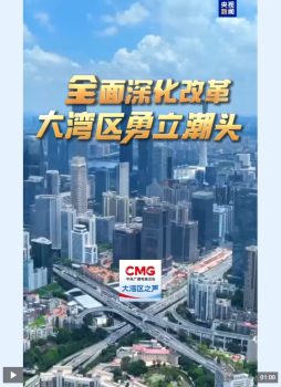 廣東持續(xù)“圈粉”港澳青年 灣區(qū)機(jī)遇引英才