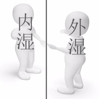 哪些食物會增加體內(nèi)濕氣？