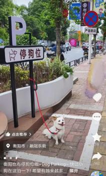 湖南一商業(yè)街現(xiàn)1平米停狗位 創(chuàng)意打卡點(diǎn)引發(fā)熱議