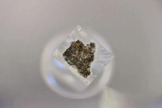 外國科學(xué)家為何看重中國這把“土” 無價(jià)之寶背后的科研開放精神