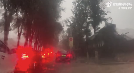 河北張家口突降暴雨冰雹 部分區(qū)域街道積水深度及腰