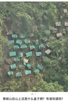 青城山景区回应悬崖疑现悬棺 实为蜂箱