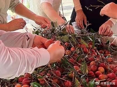荔枝價格暴跌七成 銷量激增供過于求
