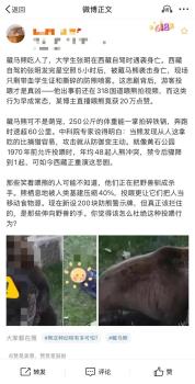 当地辟谣大学生遭熊袭击遇难 实为村民放牧遇害