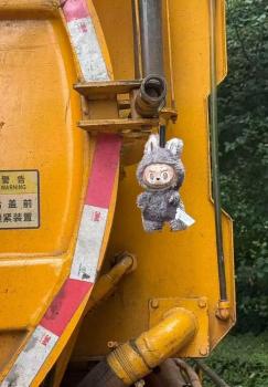 大爷捡到LABUBU随手挂吸粪车被买走 意外发现正品引发关注