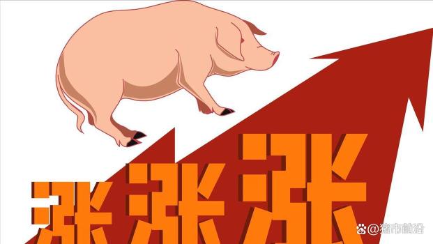 豬價(jià)上漲“坐火箭”！6月27日豬價(jià)行情 供需博弈加劇