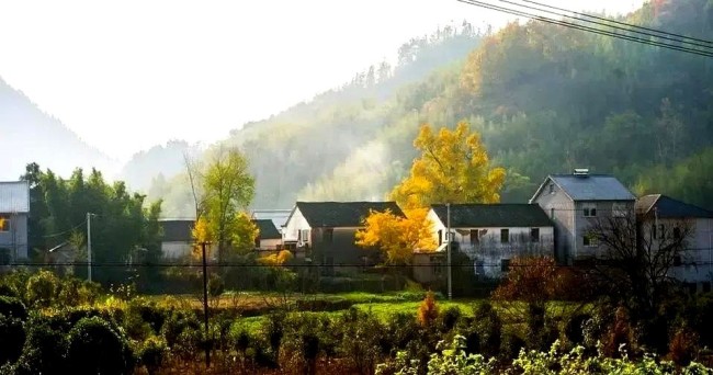 30還在基層卷,？同齡同事早升主管了,？