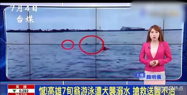 老人海里游泳遭3只野狗攻擊 海灘悲劇引發(fā)治理危機