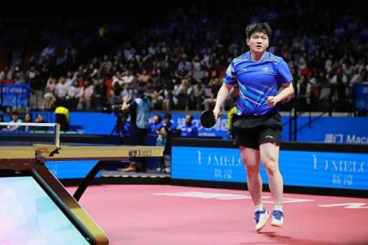 樊振东全运会两连胜晋级男单8强 展现强劲实力