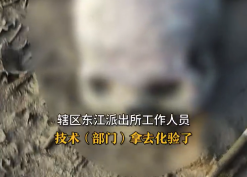 景区附近发现疑似人类头骨 警方回应