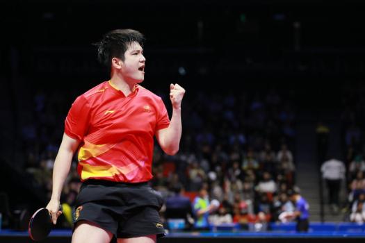 樊振东3-2胜梁靖崑 上海晋级四强