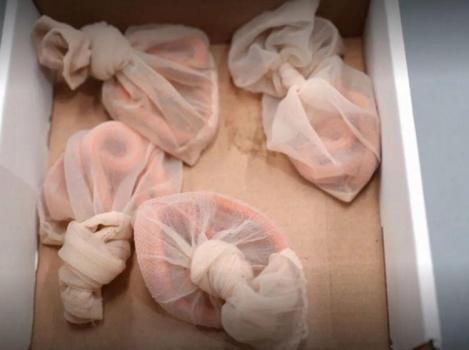 女子用丝袜装4条活蛇进境被查获 藏匿外来物种企图过关