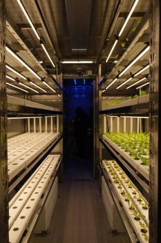 大洋极地也能种菜了 智能种植解决吃菜难