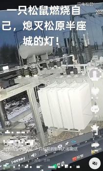 一只松鼠让半个松原停电系谣言 负荷过载所致