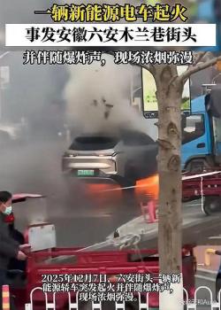 安徽一領(lǐng)克新能源車發(fā)生爆燃 幸無人員傷亡