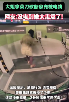 女子用菜刀砍断充电桩电线，过程被车辆哨兵完整拍下