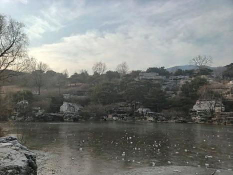 北京西山國(guó)家森林公園景觀水面結(jié)冰 安全提示需謹(jǐn)記