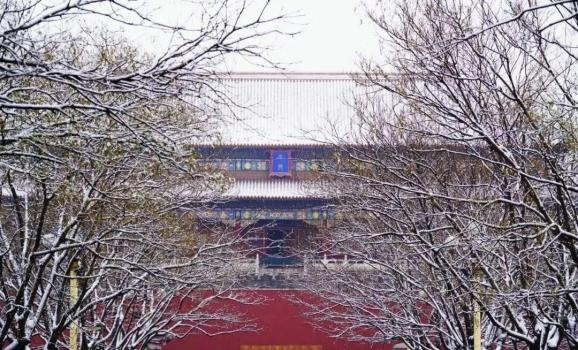 北京：明天下雪基本“穩(wěn)了”！故宮已約滿 周五最高溫-3℃