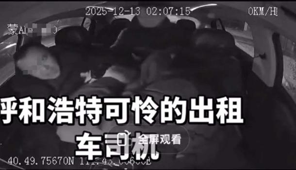 公司回應兩男子車內(nèi)拽發(fā)毆打的哥 嫌疑人已被刑拘