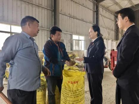 亩产600公斤实收40公斤，农户损失谁来赔？