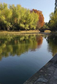 女大学生校内溺亡同学手机定位发现 家属：夜间参加游戏时出事