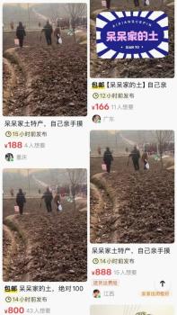 律师解读呆呆家的土被卖至888元 网络热潮后的荒诞现象