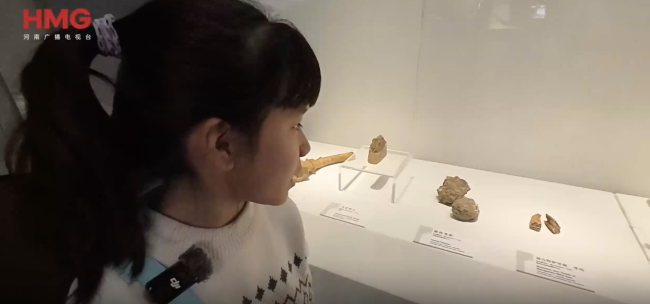 郑州博物馆展出两坨鬣狗粪便化石！