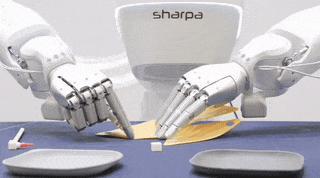 最神秘的机器人公司浮出水面 具身智能新星Sharpa