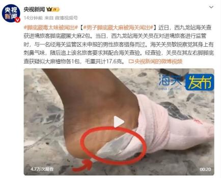 男子脚底藏毒散发刺鼻气味被海关识破 西九龙站查获大麻