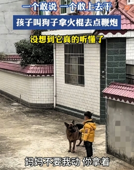 妈妈不让放鞭炮小孩让狗去点炮 小狗竟听懂了