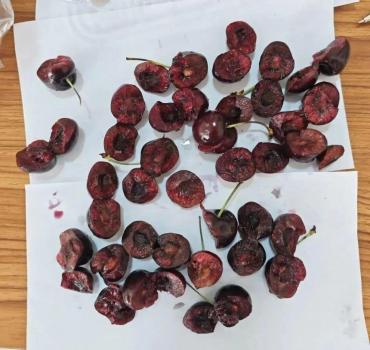 坏果多,胖东来下架全部智利车厘子 品质问题引关注