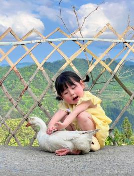 瑶一瑶小肉包近30天掉粉6万 信任危机持续发酵