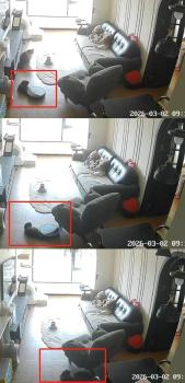 猫尾巴被扫地机器人卷入 拖行10分钟 宠物模式避障功能引质疑