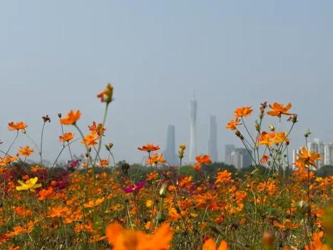 中国消费第一城，正式易主 重庆逆袭登顶