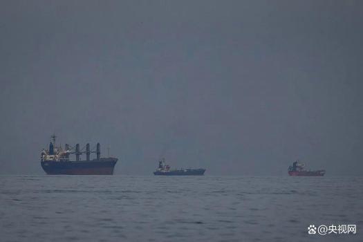 部分国家船只获允通过霍尔木兹海峡 伊朗设通行条件