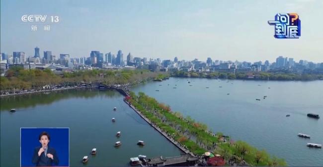 杭州西湖为何要投放漂白粉 为荷芽“保驾护航”