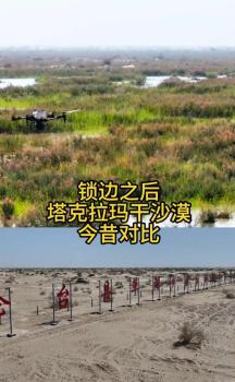 男子在塔克拉玛干沙漠种上了绿植 锁边奇迹背后的科技与坚守