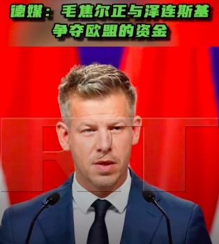 德媒：毛焦尔正与泽连斯基争夺欧盟的资金