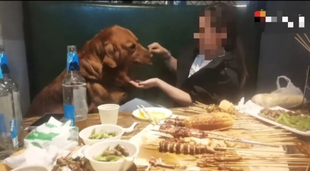 市监局谈女子用烧烤铁签喂狗 涉事店铺停业整顿