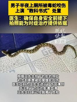 男子上廁所被毒蛇咬傷淡定拍照自救 冷靜應對轉危為安