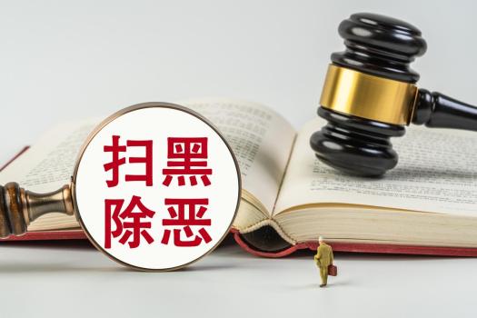最高法：要做到黑恶一个不漏 精准打击新黑恶