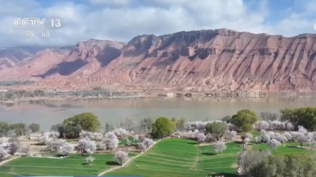 科技加持让春日麦田“节节高”