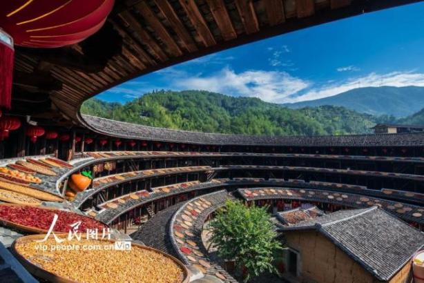 福建龙岩：永定土楼晒金秋