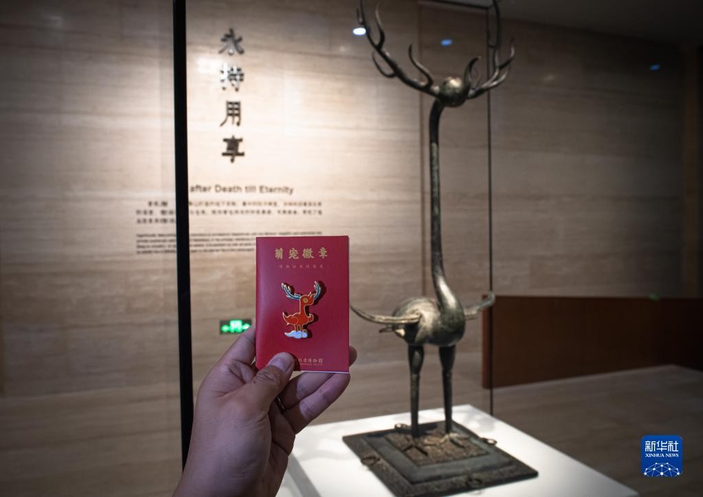 湖北省博物馆：“萌宠”宝贝受欢迎