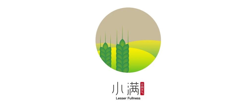 麦粒渐满 沃野千里丨小满